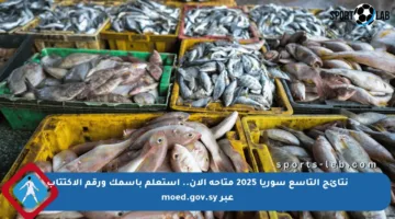 نتائج التاسع سوريا 2025 متاحة الآن.. استعلم باسمك ورقم الاكتتاب عبر moed.gov.sy